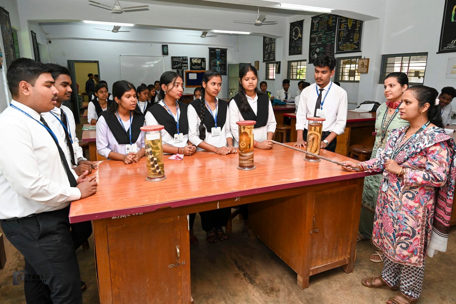 Zoology Lab Specimens